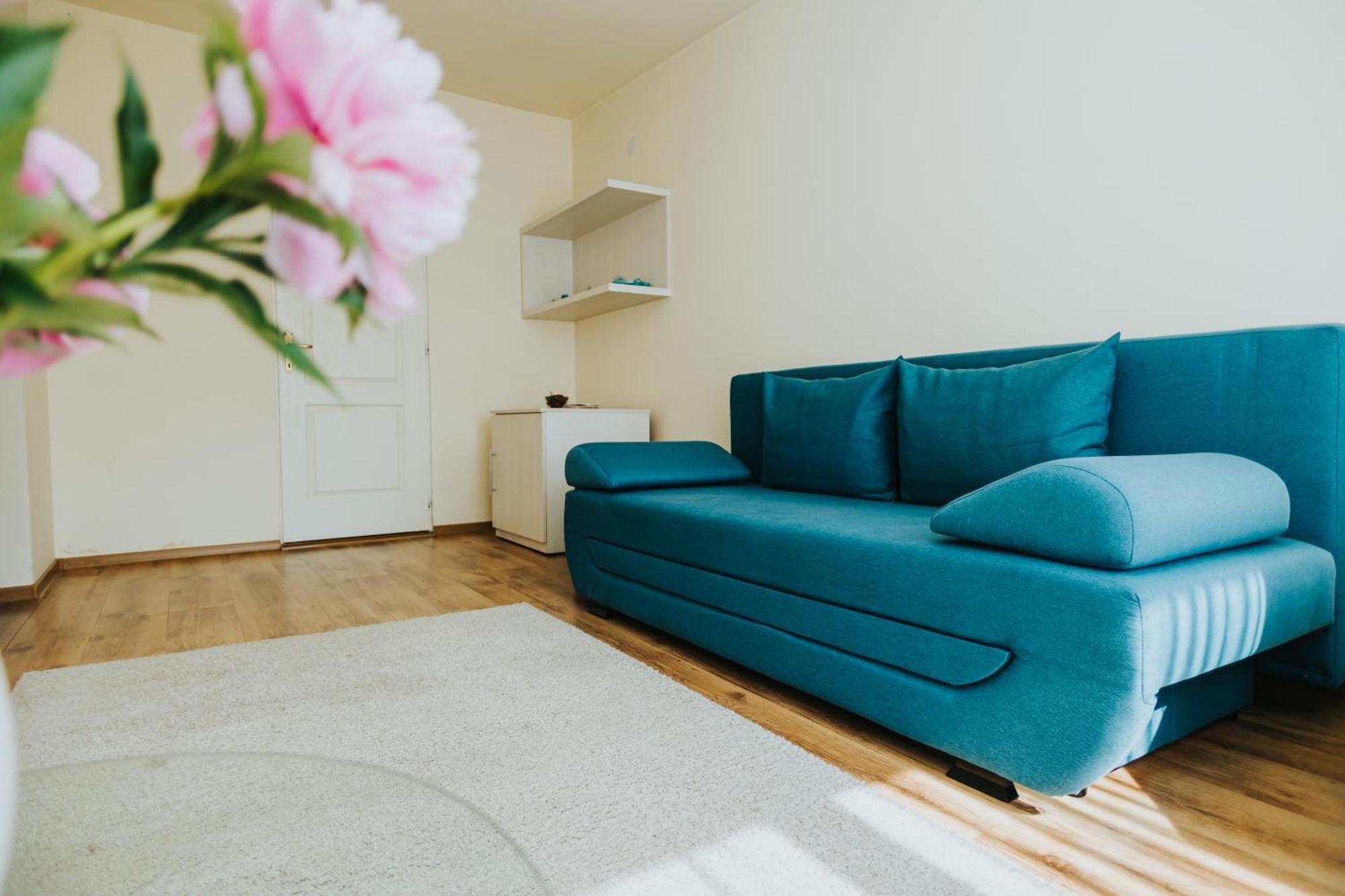 Camelia'S Cozy Place Nagybánya Kültér fotó